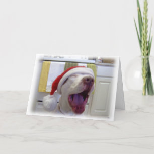 Twas the Night Before Christmas Holiday Card