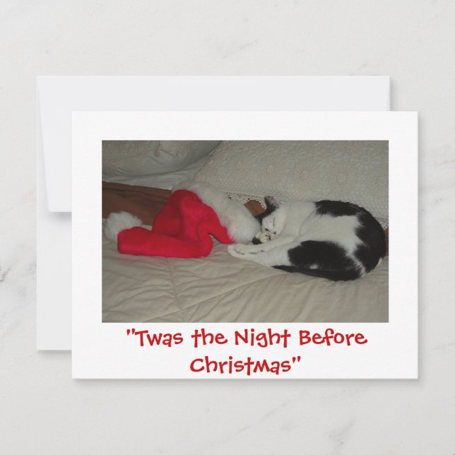 Twas the Night before Christmas Kitten Holiday Card (Front)