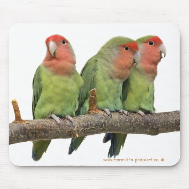 Tweet Trio Mousemat Mouse Pad (Front)