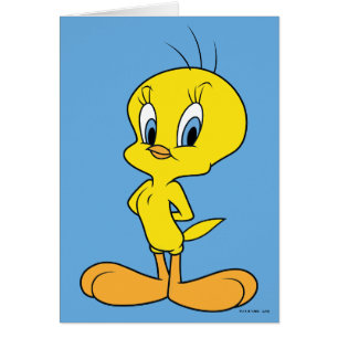 TWEETY™   Clever Bird