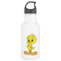 TWEETY™ | Clever Bird