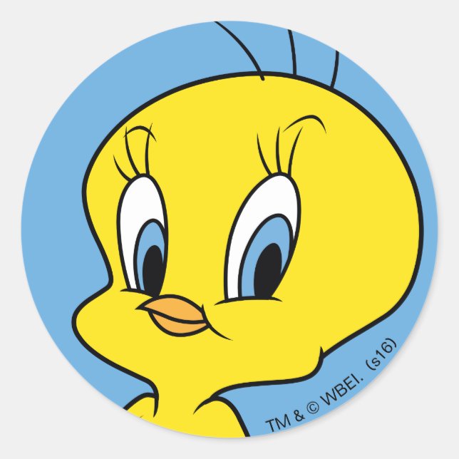 TWEETY™ | Clever Bird Classic Round Sticker (Front)