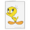 TWEETY™ Hmm