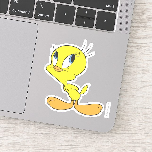 TWEETY™ Hmm (Detail)