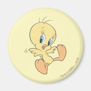 Tweety In The Clouds Pose 13 Magnet
