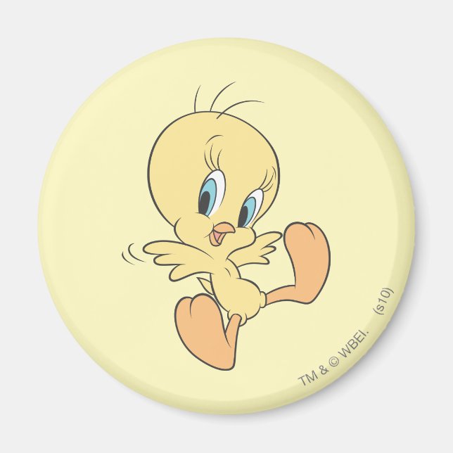 TWEETY™ In The Clouds Pose 13 Magnet (Front)
