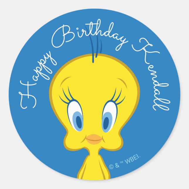 TWEETY™ | Innocent Little Bird Classic Round Sticker (Front)