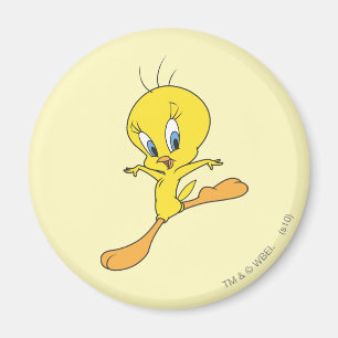 TWEETY™ Landing Magnet
