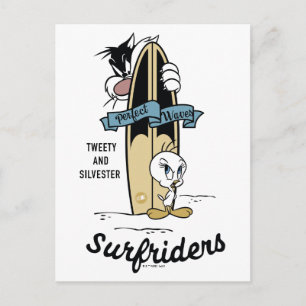 TWEETY™ & SYLVESTER™ Surfriders Postcard