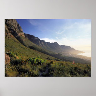 Twelve Apostles, Cape Town, Western Cape Poster