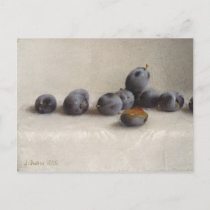 Twelve Plums Postcard