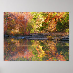 Twice the Beauty Poster