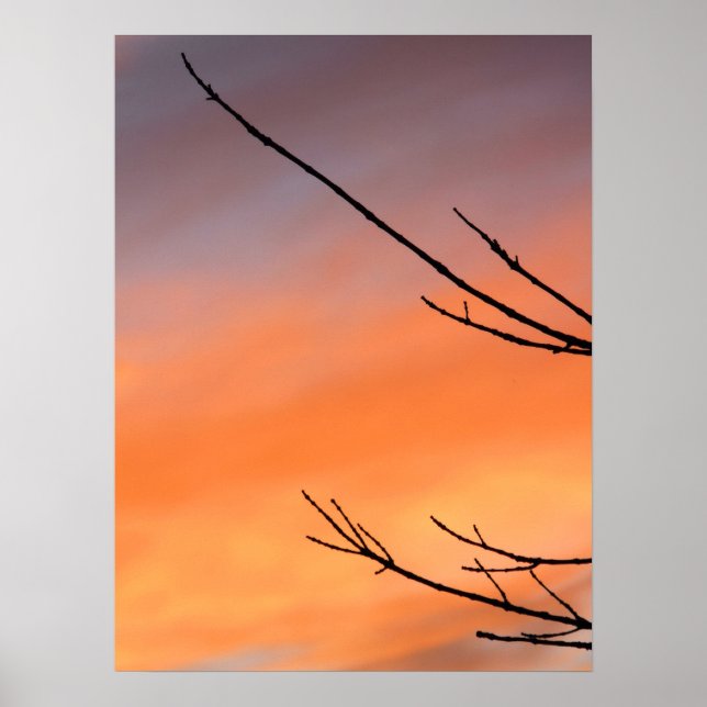 Twigs Against the Sunset Poster (Front)