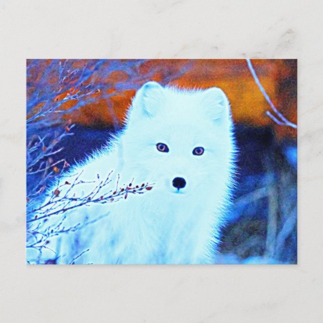 *~* Twigs AP18 Snow Fox White Arctic Polar Fox Postcard (Front)