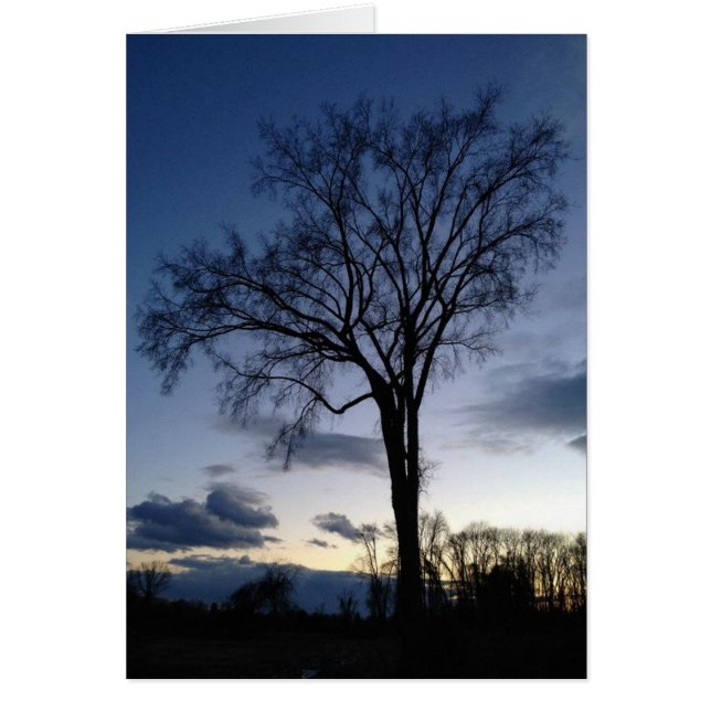 Twilight At The Tree In Winter Greeting/Note Cards (Front)
