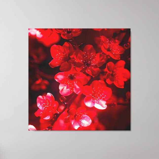 Twilight Cherry Blossom Glow Canvas Print (Front)