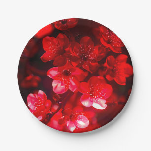 Twilight Cherry Blossom Glow Paper Plate
