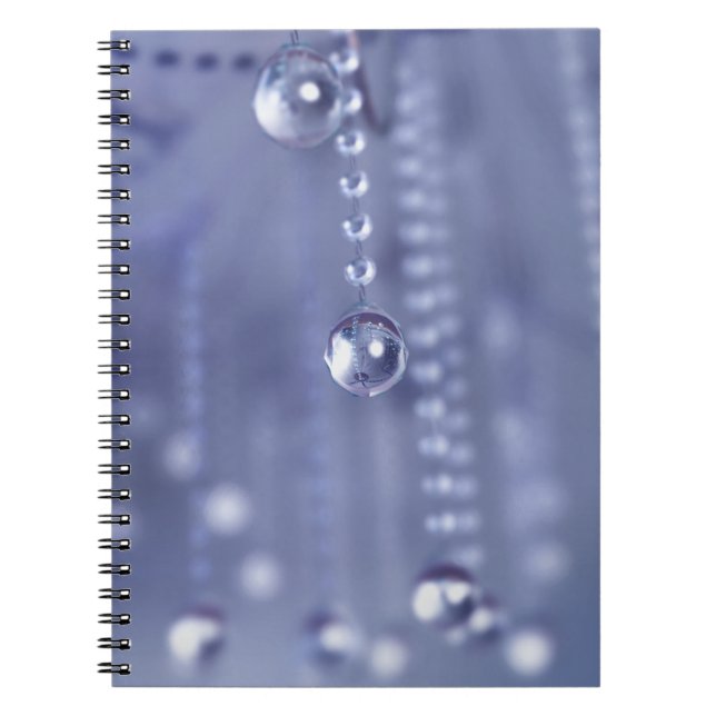 Twilight dans le Carnet de cristal (Devant)