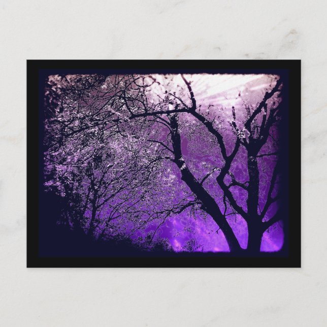 Twilight haze Postcard (Front)