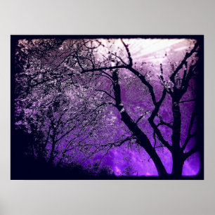 Twilight haze poster print