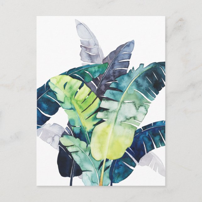 Twilight Palms - Palm Leaves Postcard (Front)