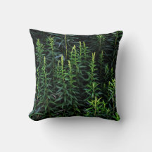 Twilight Plants Dark Mood