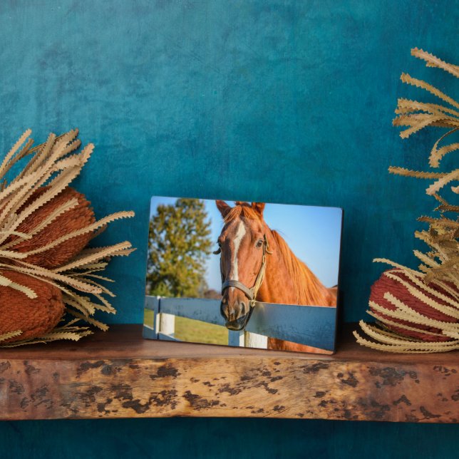 Twilight Rose | Thoroughbred Race Horse Plaque (Side)