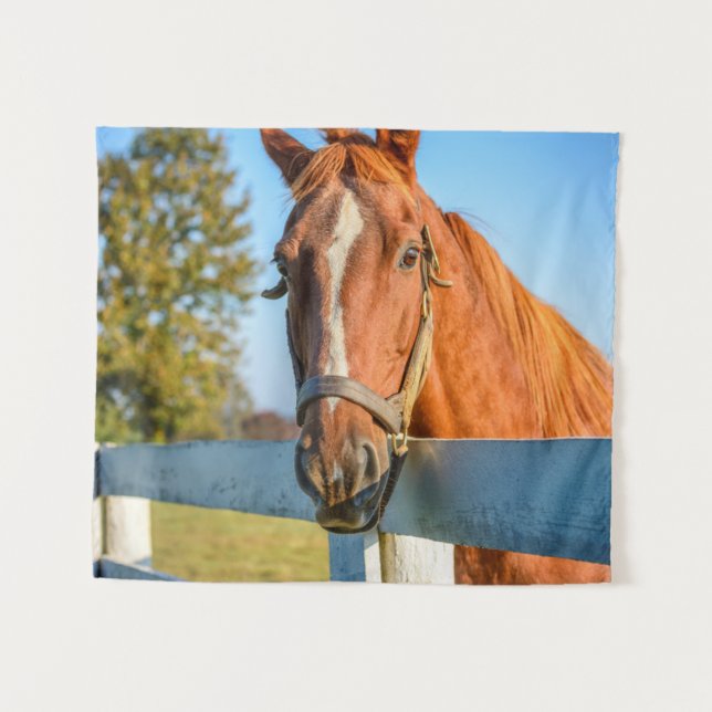 Twilight Rose | Thoroughbred Race Horse Tapestry (Front (Horizontal))