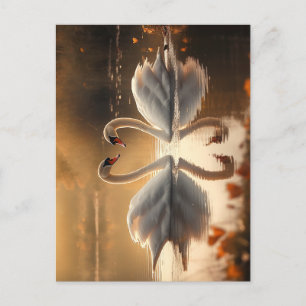 Twilight Serenity - Swans in Love Postcard