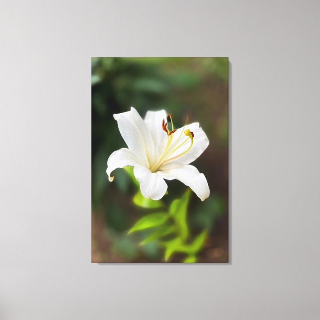 Twilight white lily canvas print (Front)