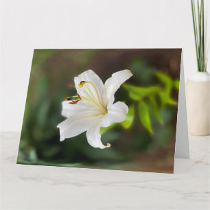 Twilight white lily card