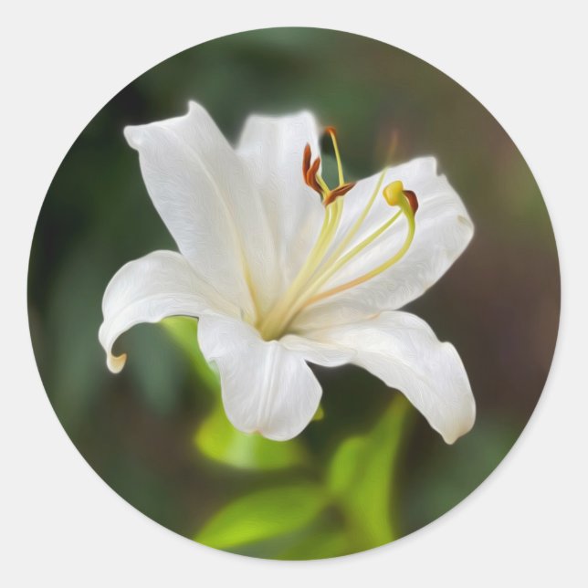 Twilight white lily classic round sticker (Front)