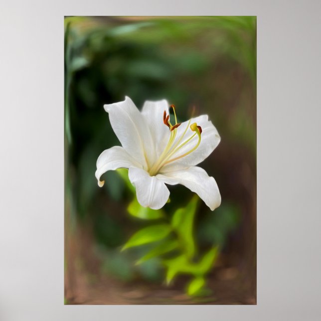 Twilight white lily poster (Front)