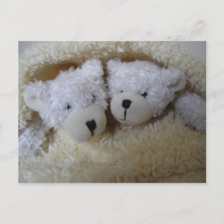 twin baby announcement- bears in a blanket announcement postcard