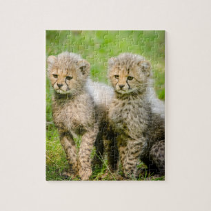Twin Baby Cheetahs Jigsaw Puzzle