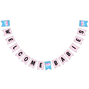 Twin Baby Girls Shower Bunting Flags