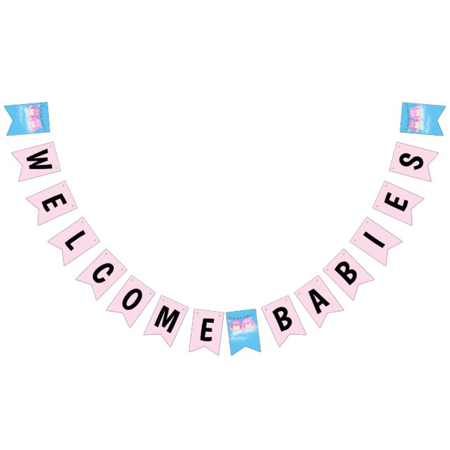 Twin Baby Girls Shower Bunting Flags (All)