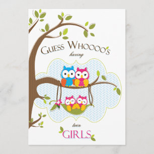 Twin Baby Girls Shower Invitation - Owl Family