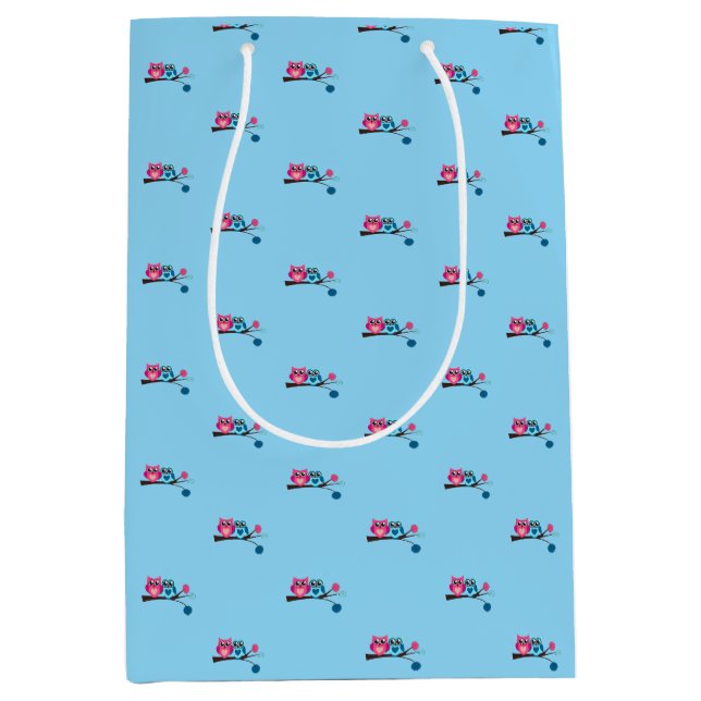 Twin Blue and Pink Owls  Medium Gift Bag (Front)