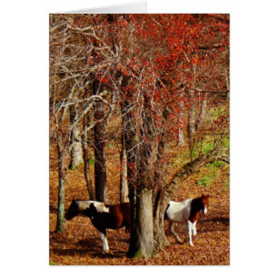 Twin Brown and White Horses