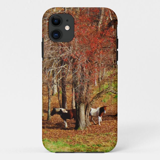Twin Brown and White Horses Case-Mate iPhone Case (Back)