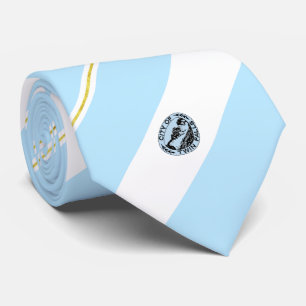 Twin Falls (Idaho) city flag Neck Tie