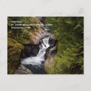 Twin Falls Postcard
