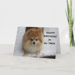 "TWIN" HAPPY BIRTHDAY SAYS THE POMERANIAN CARD