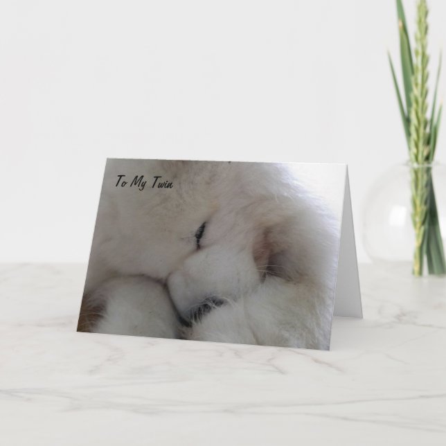 TWIN I WISH U HAPPY BIRHTDAY WITH ALL MY HEART CARD (Front)