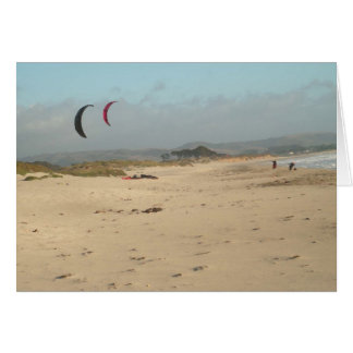 Twin Kites