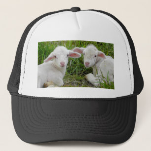 Twin Lamb Baby Animal Thinking Of You Trucker Hat