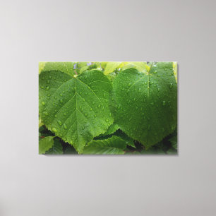 twin leaves canvas print