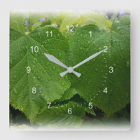 twin leaves