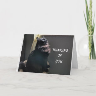 ***TWIN*** ON YOUR BIRTHDAY CARD